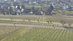 DCIM100MEDIADJI_0010.JPG